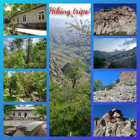 Forest Guest House Mirzakishlak 外观 照片