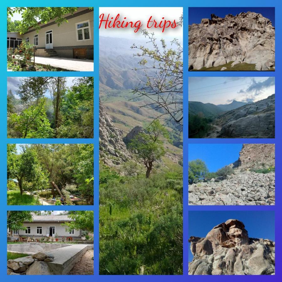 Forest Guest House Mirzakishlak 外观 照片