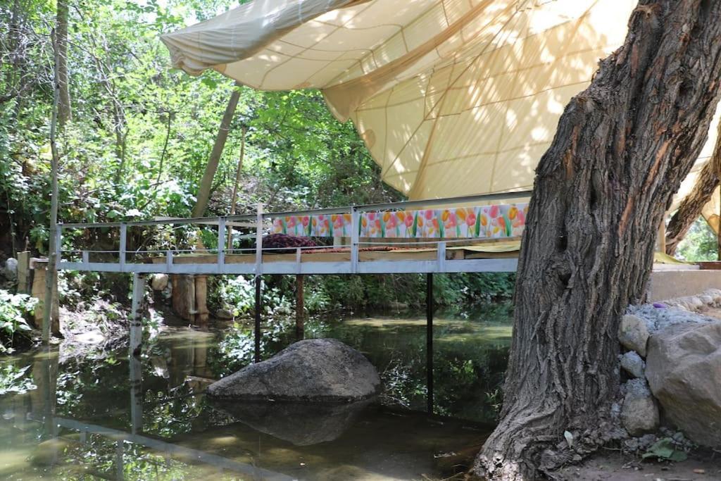 Forest Guest House Mirzakishlak 外观 照片
